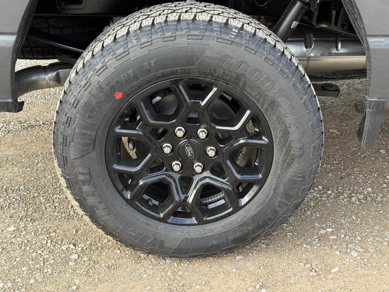 Ford F-150 Vehicle Image 04