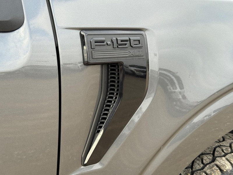 Ford F-150 Vehicle Image 05