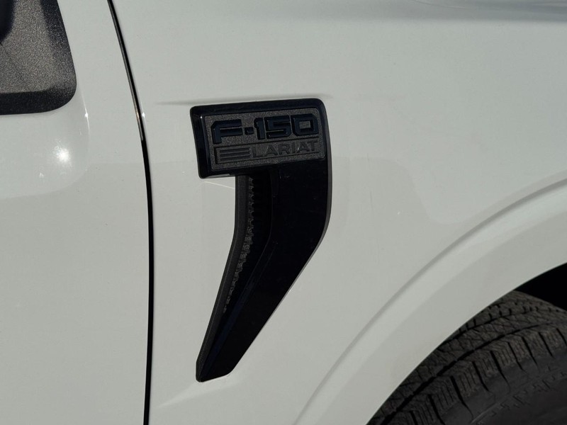 Ford F-150 Vehicle Image 12