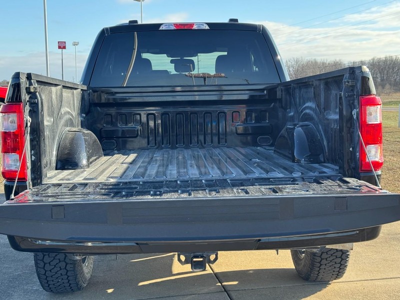 Ford F-150 Vehicle Image 04