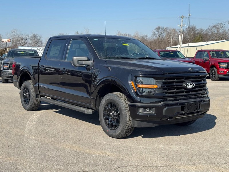 Ford F-150 Vehicle Image 02