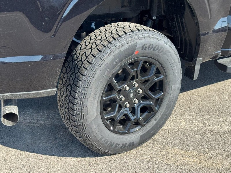 Ford F-150 Vehicle Image 04