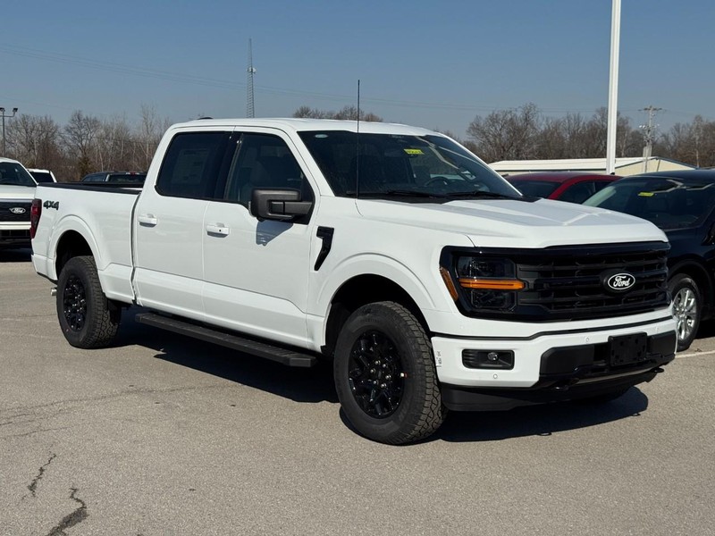 Ford F-150 Vehicle Image 02