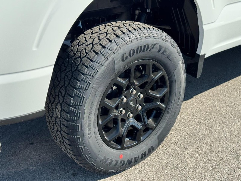 Ford F-150 Vehicle Image 04