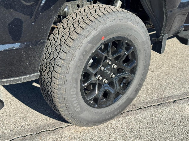 Ford F-150 Vehicle Image 04