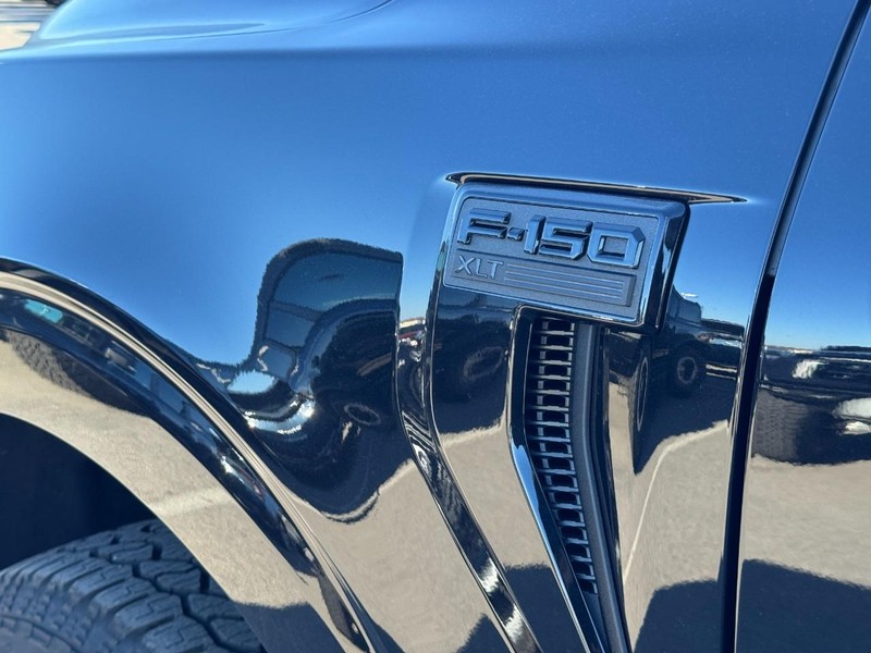 Ford F-150 Vehicle Image 11