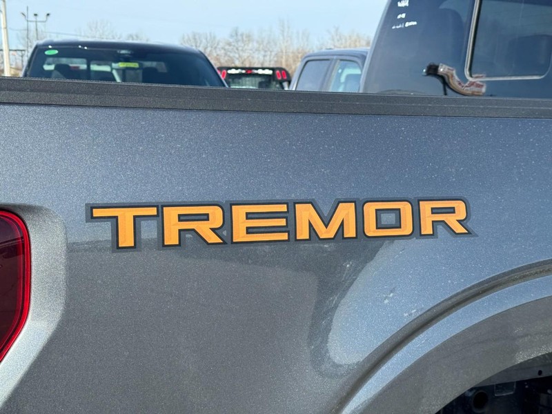 Ford F-150 Vehicle Image 04