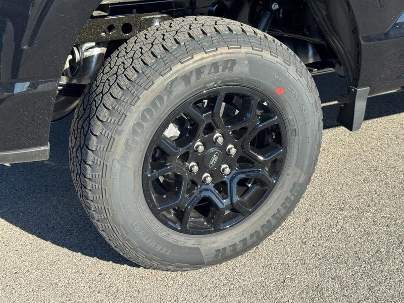 Ford F-150 Vehicle Image 04