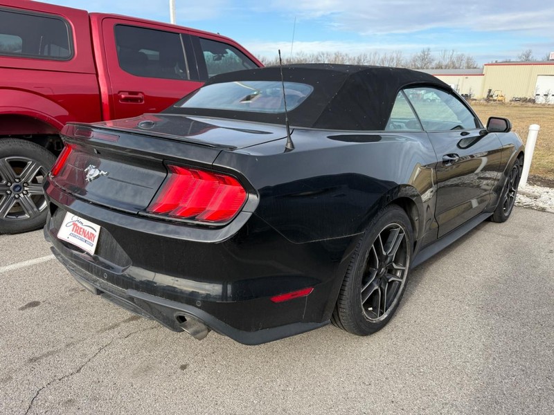 Ford Mustang Vehicle Image 02