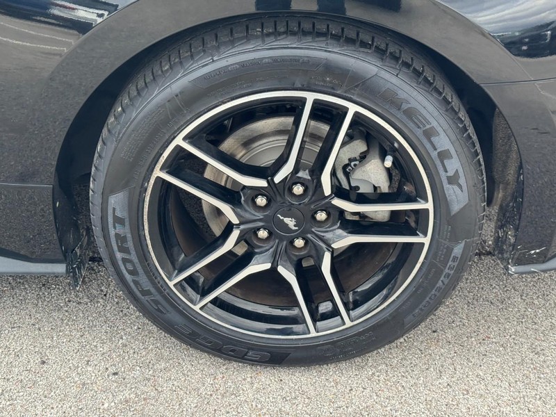 Ford Mustang Vehicle Image 06