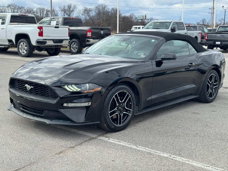 Ford Mustang Vehicle Image 07