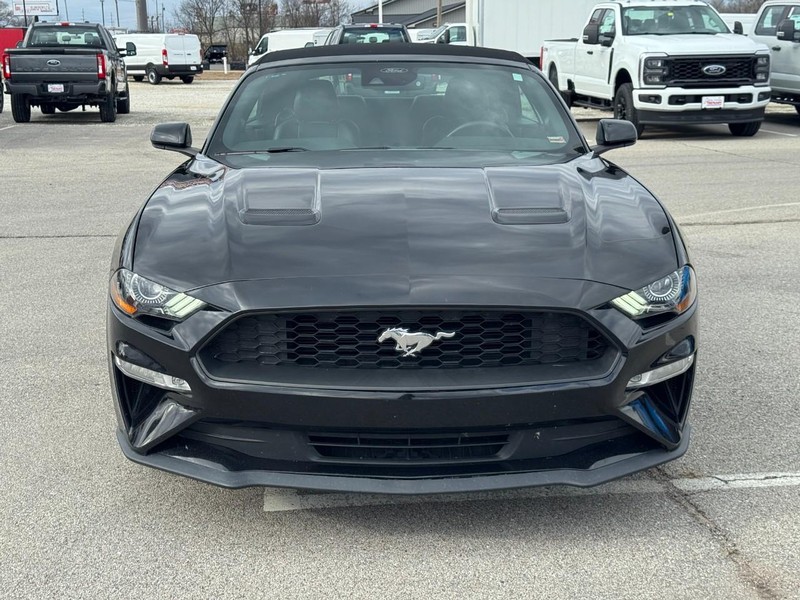 Ford Mustang Vehicle Image 08