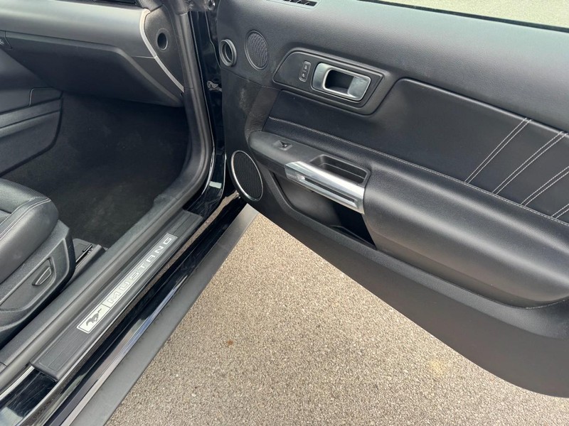 Ford Mustang Vehicle Image 11