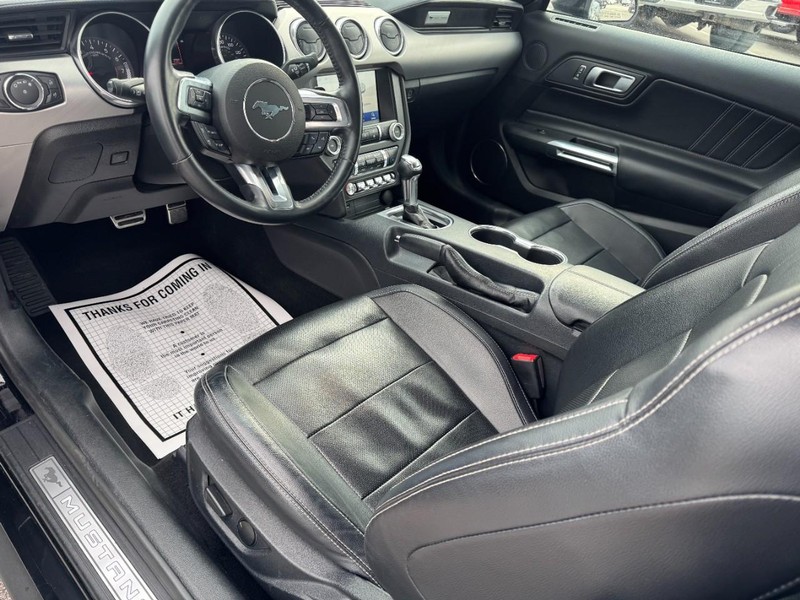 Ford Mustang Vehicle Image 12