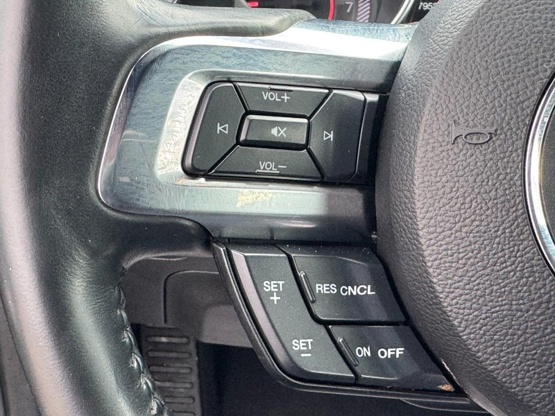 Ford Mustang Vehicle Image 18