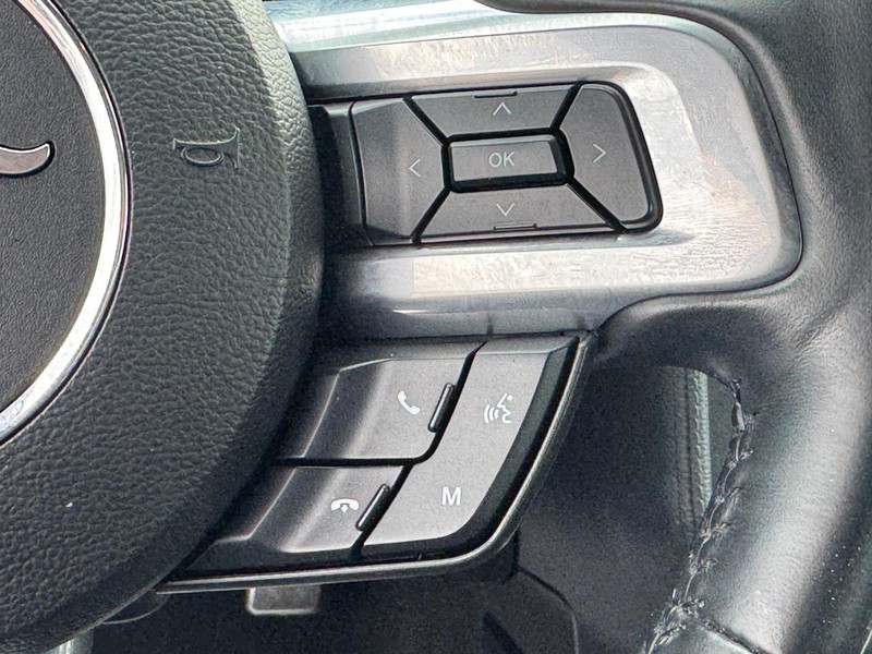 Ford Mustang Vehicle Image 19