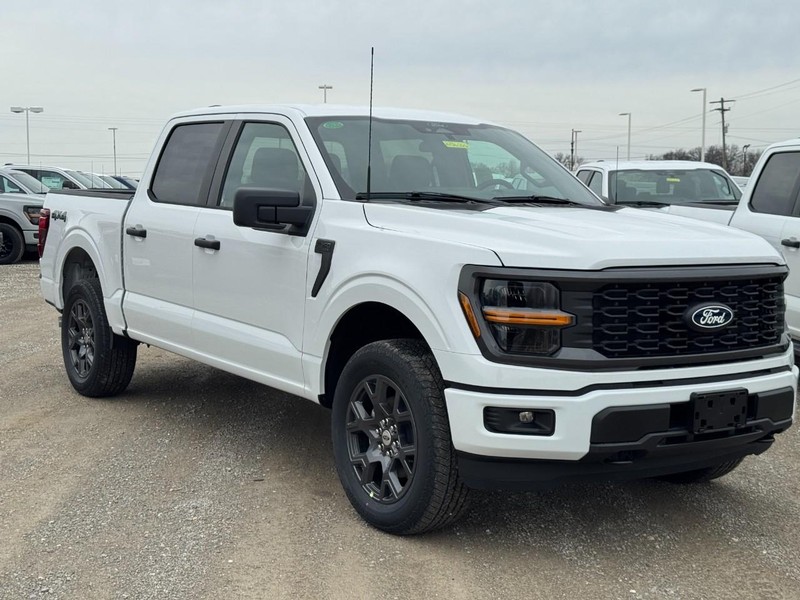 Ford F-150 Vehicle Image 02