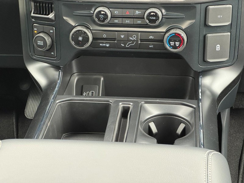 Ford F-150 Vehicle Image 09