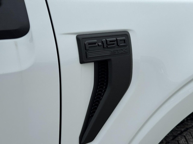 Ford F-150 Vehicle Image 11
