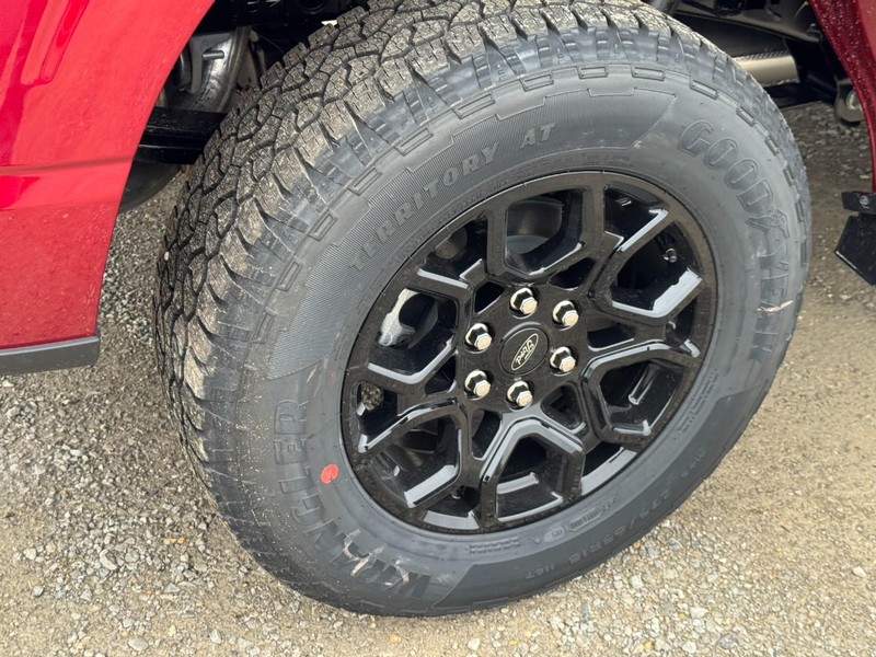 Ford F-150 Vehicle Image 05