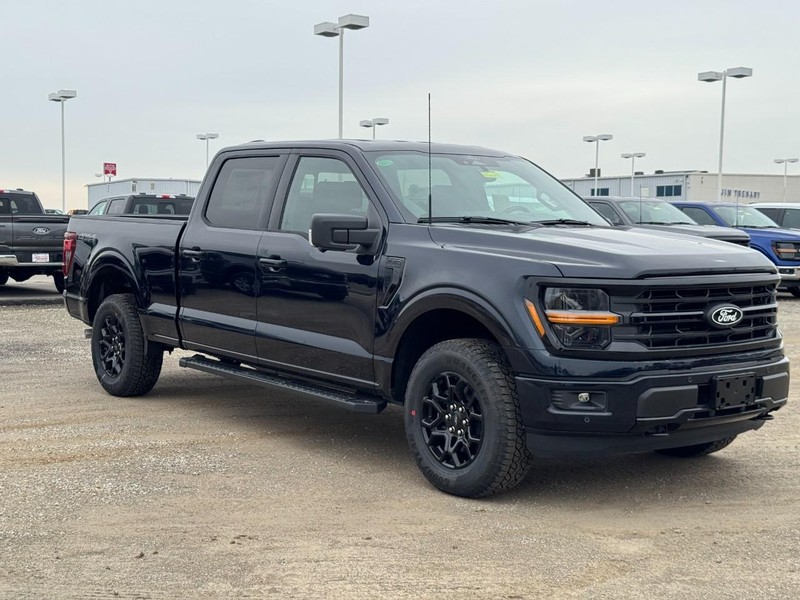 Ford F-150 Vehicle Image 02