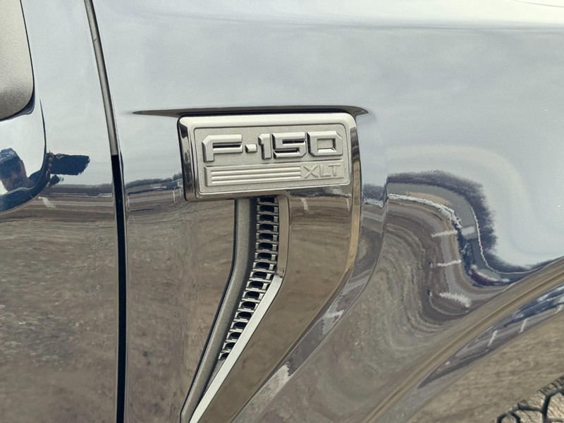 Ford F-150 Vehicle Image 12