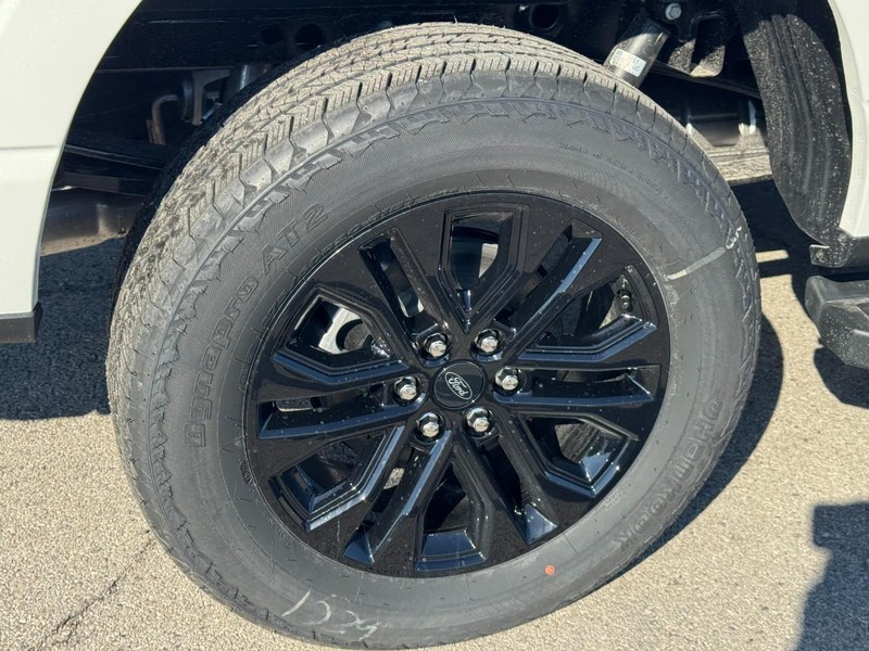 Ford F-150 Vehicle Image 04