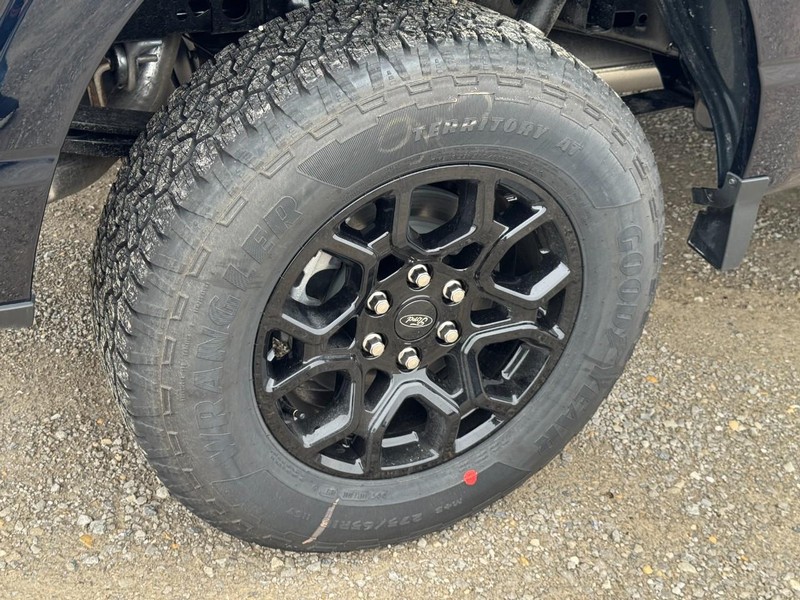 Ford F-150 Vehicle Full-screen Gallery Image 5