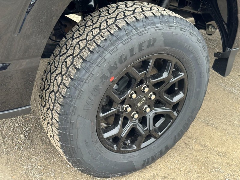 Ford F-150 Vehicle Full-screen Gallery Image 5