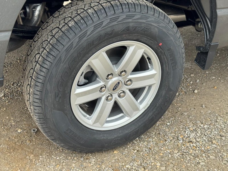 Ford F-150 Vehicle Image 04