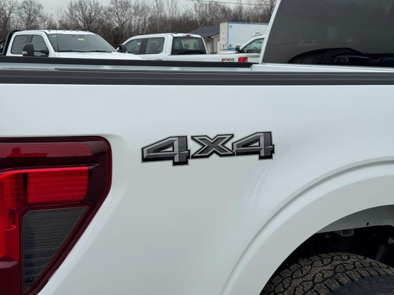 Ford F-150 Vehicle Image 04