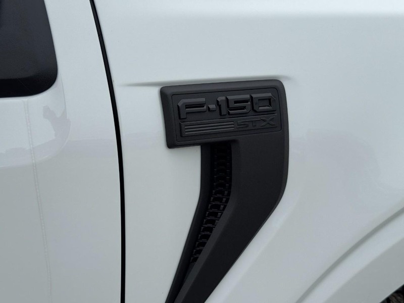 Ford F-150 Vehicle Image 12