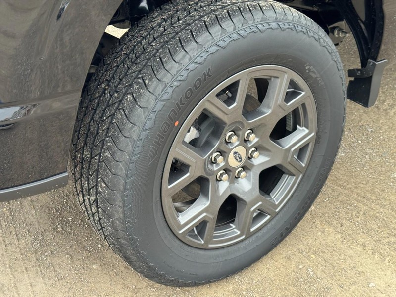 Ford F-150 Vehicle Image 05