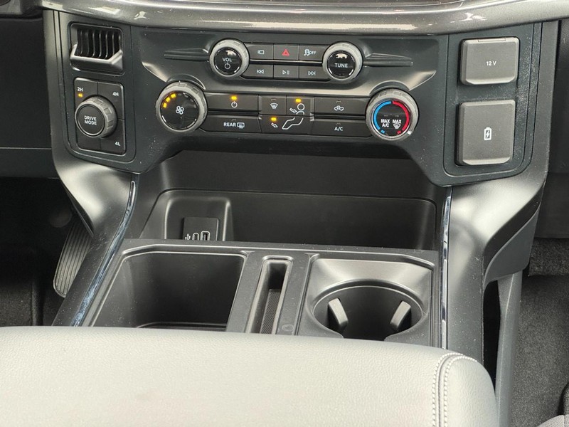 Ford F-150 Vehicle Image 10