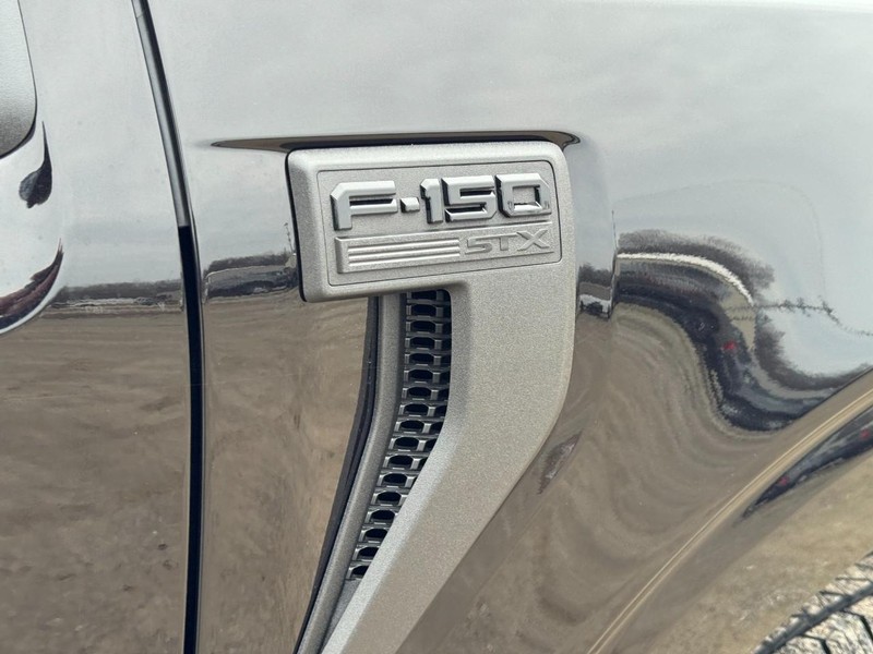 Ford F-150 Vehicle Image 12