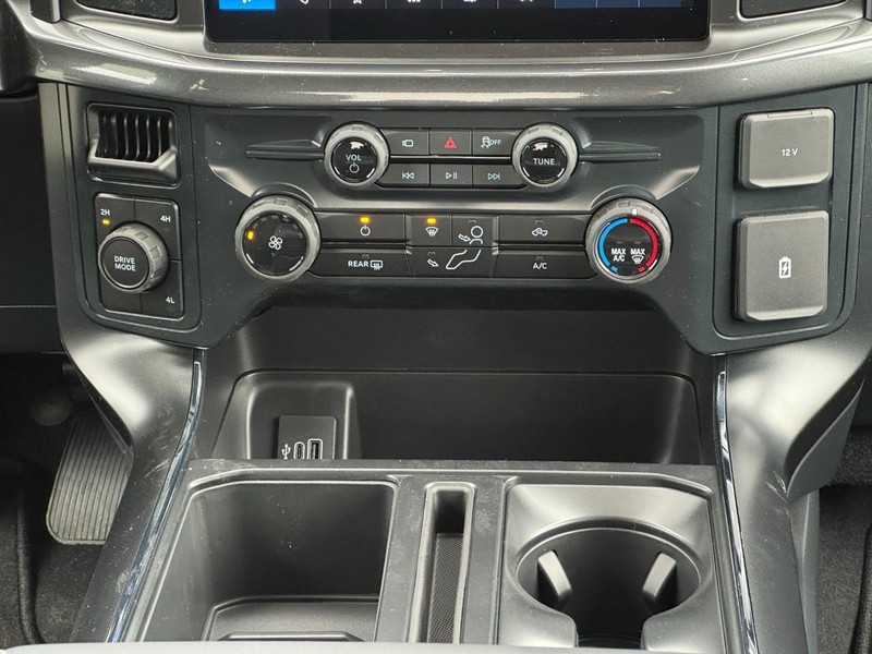 Ford F-150 Vehicle Image 09