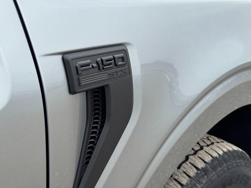 Ford F-150 Vehicle Image 11
