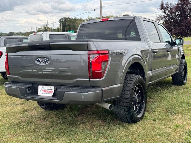 Ford F-150 Vehicle Image 03