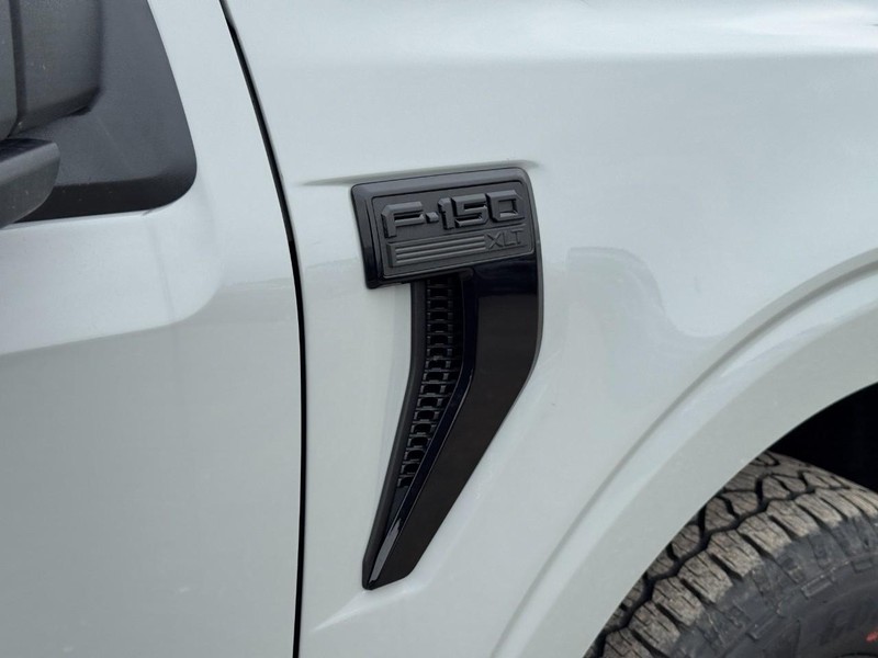 Ford F-150 Vehicle Full-screen Gallery Image 12