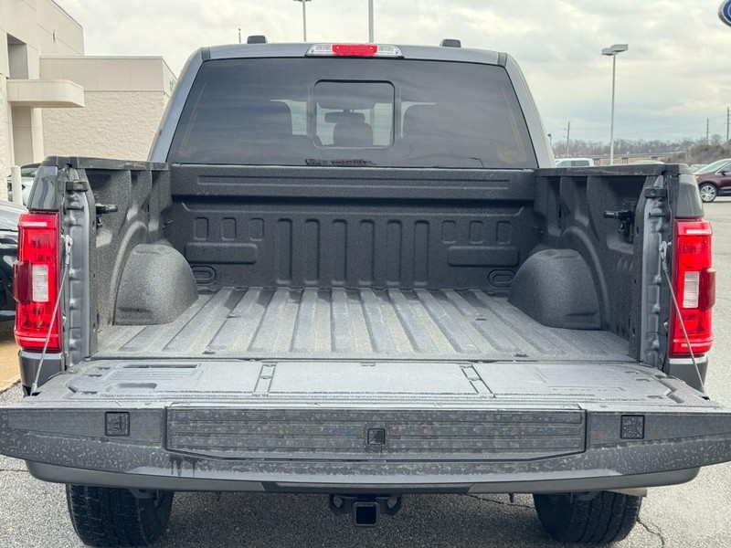 Ford F-150 Vehicle Image 04