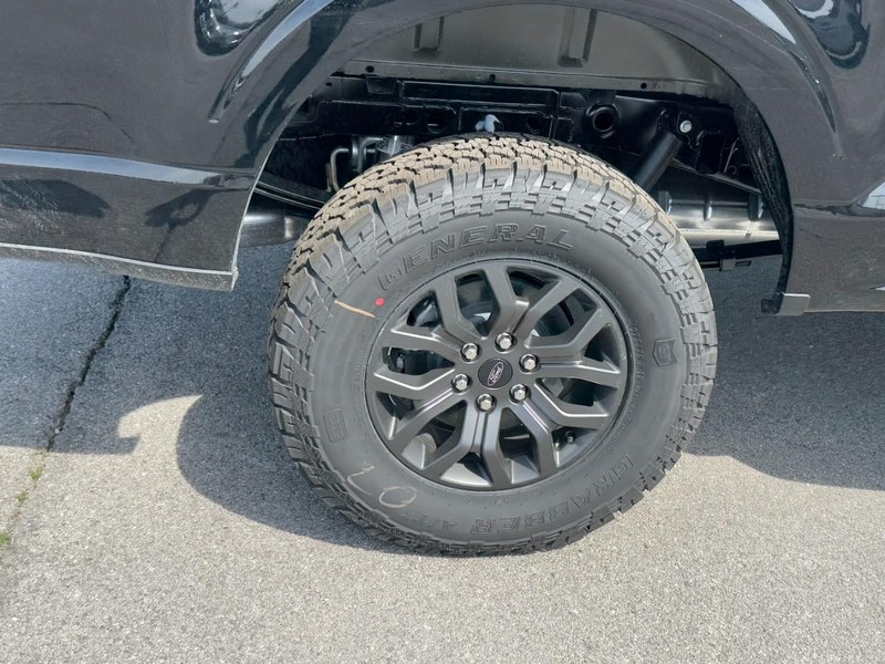 Ford F-150 Vehicle Image 04