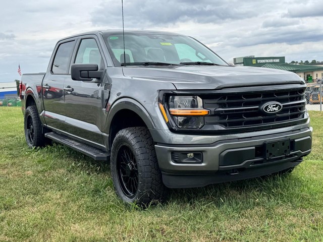 Ford F-150 Vehicle Image 02