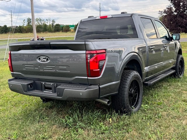 Ford F-150 Vehicle Image 03