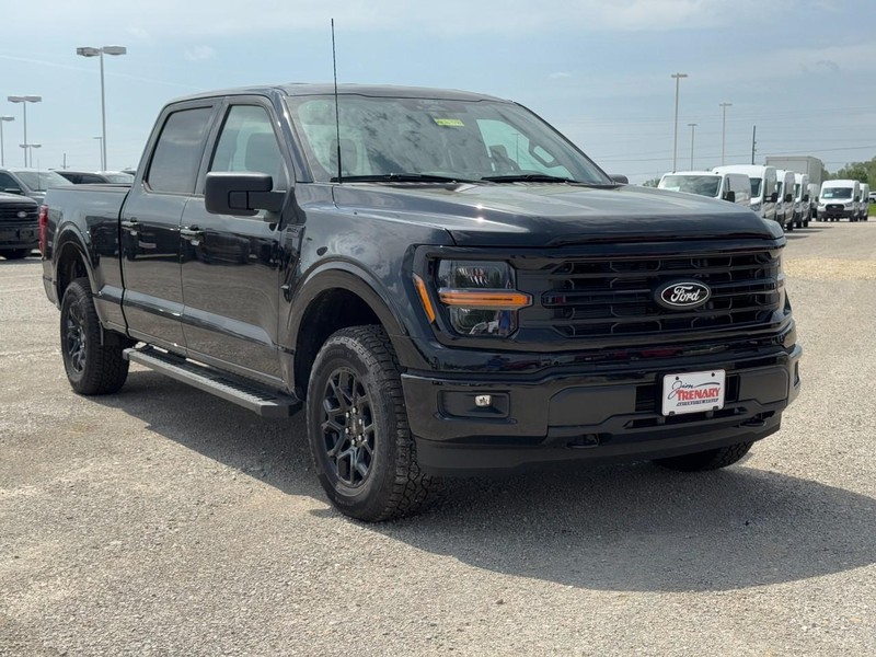 Ford F-150 Vehicle Image 02