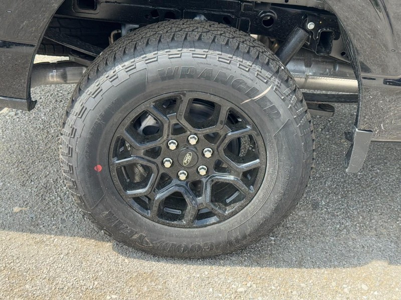 Ford F-150 Vehicle Image 04