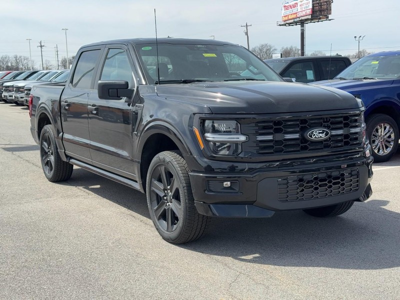 Ford F-150 Vehicle Image 02