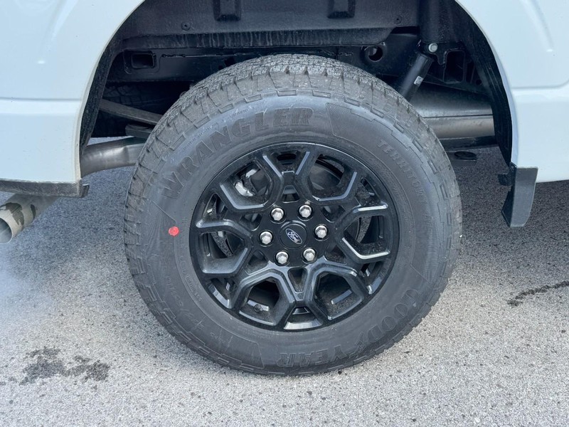 Ford F-150 Vehicle Image 04