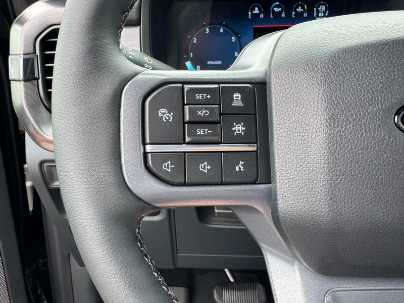 Ford F-150 Vehicle Image 11