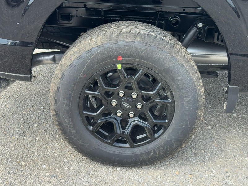 Ford F-150 Vehicle Full-screen Gallery Image 4