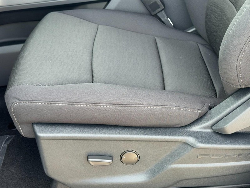 Ford F-150 Vehicle Full-screen Gallery Image 14